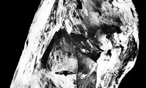 Cận cảnh viên kim cương lớn nhất thế giới: Giá trị bằng gần nửa tấn vàng nguyên chất!