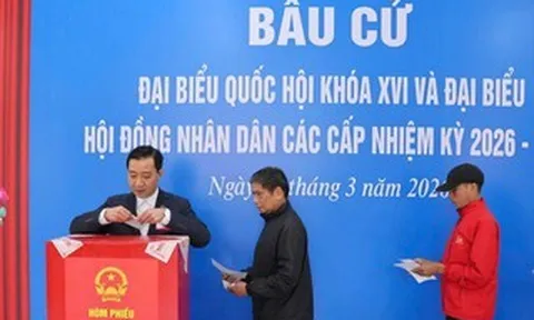 Những phiếu bầu cử nào được coi là phiếu bầu cử hợp lệ?