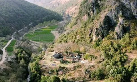 Mua nhà giữa rừng núi để "nghỉ hưu sớm bình yên", 3 năm sau, tôi đã phải trả giá vì sự ngây thơ ấy