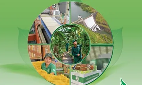 Hiệu quả từ tinh gọn bộ máy, mở rộng dư địa phát triển mới của VRG