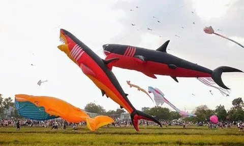 “Biển diều” khổng lồ phủ kín đồng diều Hóc Môn, người dân đổ về đông nghẹt mỗi ngày