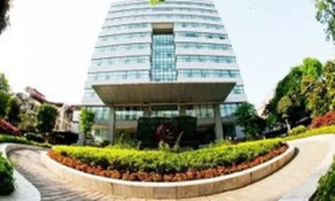 Hàng loạt trường ĐH Việt Nam đón tin vui trên đấu trường quốc tế