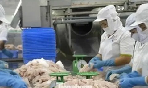 Nhà hàng sushi trong nhóm ‘khó tính’ nhất thế giới dùng cá tra Việt Nam