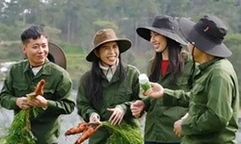 Cảnh báo khẩn: Danh sách 13 loại thực phẩm bổ sung là giả, người tiêu dùng cần kiểm tra ngay