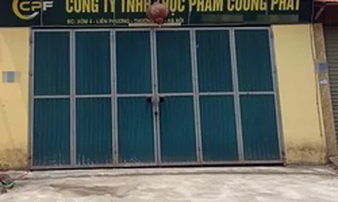 Vụ 300 tấn lợn bệnh: Lộ tên 2 trường dùng thịt của Công ty Cường Phát