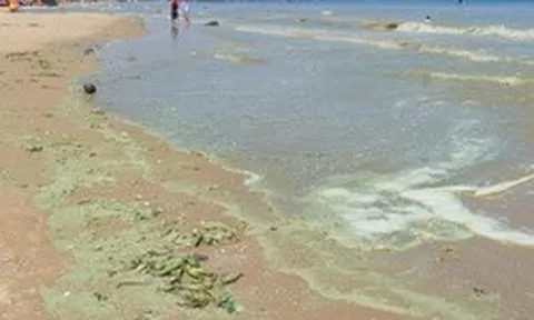 Hình ảnh biển Bãi Sau Vũng Tàu chuyển màu "xanh như matcha", du khách lo ngại