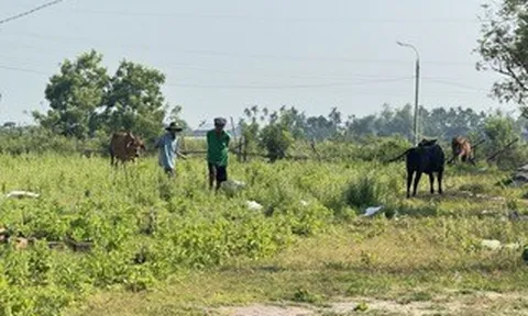 Dự án khu dân cư 186 tỉ "mắc cạn" bên sông Vệ gần chục năm