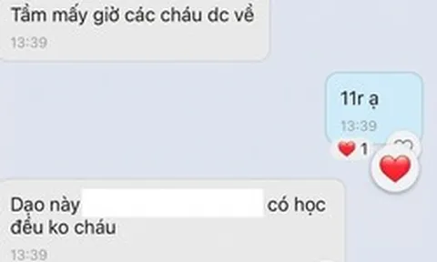 Sinh viên lên năm 3, phụ huynh vẫn nhắn nhờ bạn để ý, đốc thúc học giúp: "Cứ tưởng chỉ có trên truyện audio"