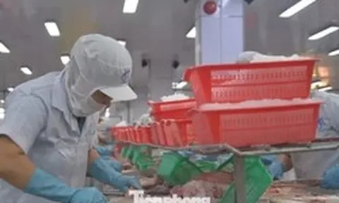 Cả vùng Đồng bằng sông Cửu Long chỉ có 24 tỷ USD vốn FDI