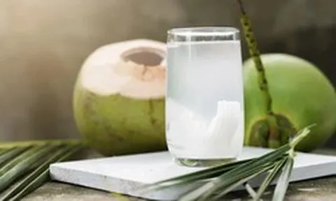 Nước dừa có thể uống thay thế nước lọc không? Sự thật không phải ai cũng biết