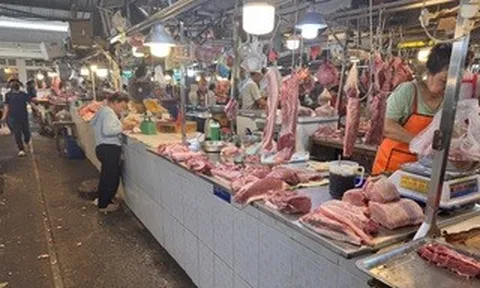 Giá heo hơi hôm nay, 11-4: Tiếp tục giảm ở chợ đầu mối