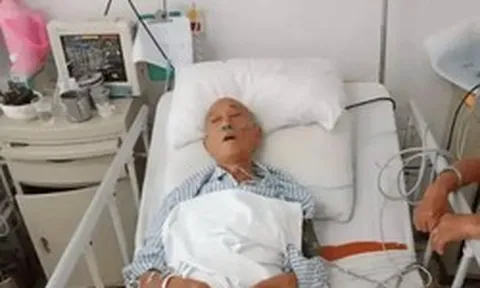 Cụ ông 72 tuổi bị ung thư gan do thường xuyên ăn 1 loại rau