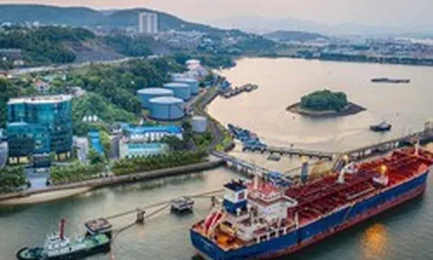 Chỉ trong 3 tháng, Việt Nam chi gần 3 tỷ USD để nhập khẩu mặt hàng cả thế giới đang cần gấp