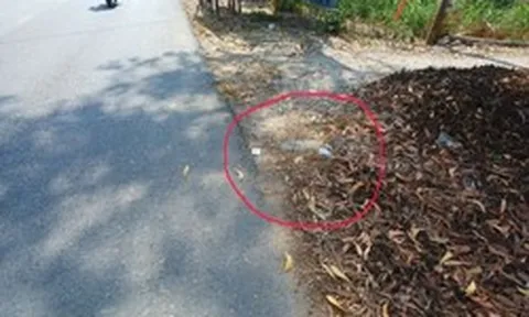 Cảnh tượng hàng loạt tờ giấy in SĐT được rải khắp đường: Công an cảnh báo toàn bộ người dân