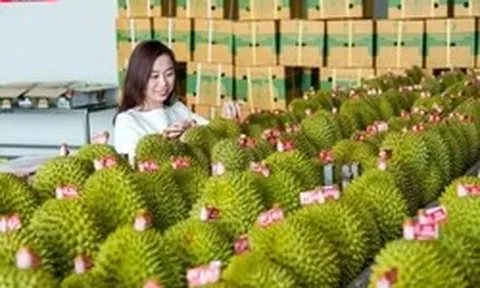 Thương mại Việt Nam - Trung Quốc tăng tốc kỷ lục