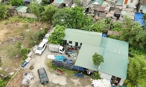 Đột kích hàng loạt xưởng sản xuất giá đỗ sử dụng chất cấm