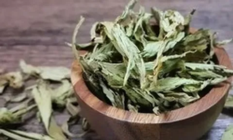 Loại lá khô ngọt gấp 300 lần đường mía nhưng lại không gây tăng đường huyết, tốt cho tim mạch: Việt Nam bán nhiều