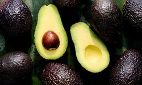 Ai không nên ăn quả bơ?