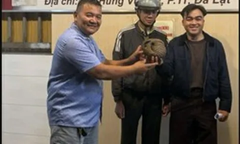 Thấy tê tê quý hiếm bò vào quán nhậu ở Đà Lạt, chủ quán gọi báo kiểm lâm