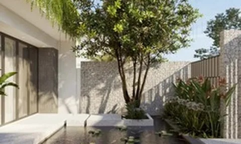 4 loại cây may mắn nên trồng trước sân nhà, gia đình không giàu sang cũng trở nên quyền quý