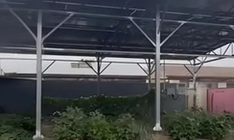 Cho thuê 200m² đất bỏ không để kiếm 115 triệu đồng, người đàn ông lỗ gấp 6 lần, còn bị cơ quan chức năng xử phạt