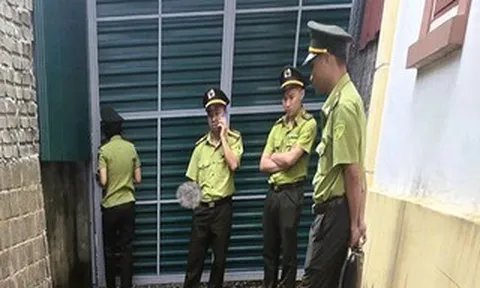 Kiểm lâm "đột kích" nhà dân, thu giữ 122 cây muội hồng