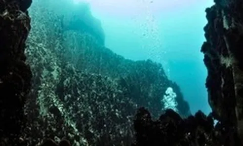 Nhấc một phiến đá lên từ độ sâu 2.515m, các nhà khoa học phát hiện "một thế giới không nên tồn tại"