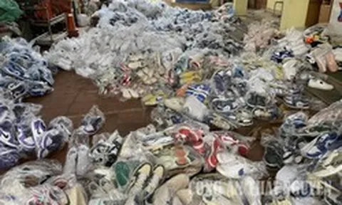 Khởi tố Hứa Chí Cường SN 1988 vì liên quan đến hàng loạt sản phẩm giầy nhãn hiệu NIKE không chính hãng