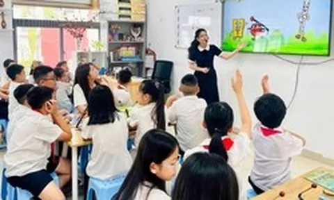 Những đơn vị sự nghiệp công lập nào thuộc diện sắp xếp?
