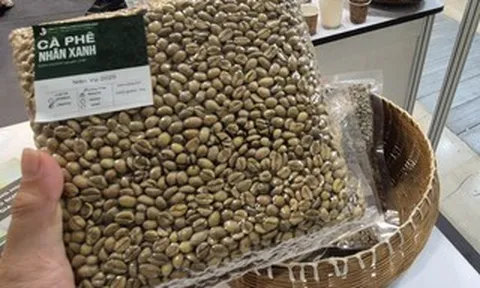 Giá cà phê hôm nay 2-5: Phục hồi nhẹ, Brazil được mùa cỡ nào?