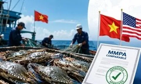 Tin vui với ghẹ Việt Nam xuất Mỹ