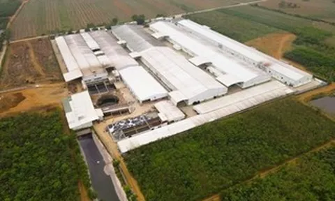 Vụ nước giếng khoan đổi màu tím: Một công ty bị phạt 1,5 tỉ đồng