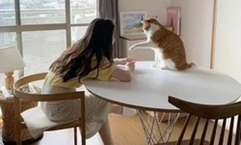 30 tuổi chưa mua được nhà, có lẽ tôi chỉ đủ sức nuôi nổi bản thân