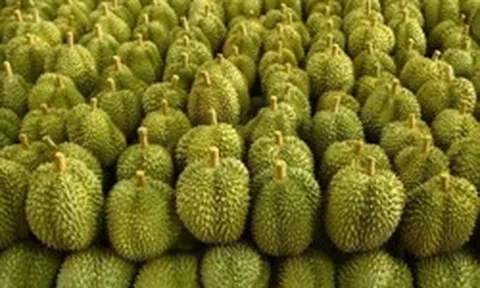 Việt Nam đón tin vui cùng lúc từ Campuchia và Malaysia