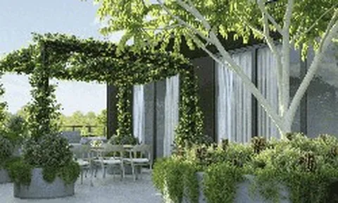 5 loại cây nên trồng trên sân thượng vào mùa hè