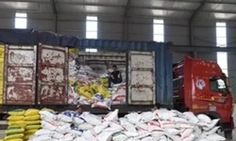 Vụ Trưởng khoa Dược Bệnh viện y học cổ truyền Trung ương: 50 tấn caffeine bị thu giữ có thể 'chế' thành 150 tấn ma túy