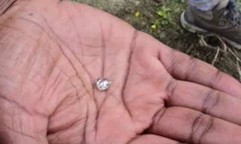 Nhặt được “viên đá lạ” trong công viên, người phụ nữ sốc khi biết đó là báu vật hàng nghìn người cùng tìm kiếm