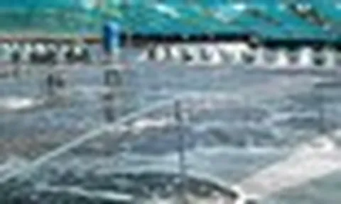 Không phải đất hiếm hay sầu riêng, một mỏ vàng của Việt Nam vừa mang về 1,5 tỷ USD: Mỹ, Trung Quốc đều là ‘khách ruột’, nước ta xuất khẩu đứng thứ 3 thế giới