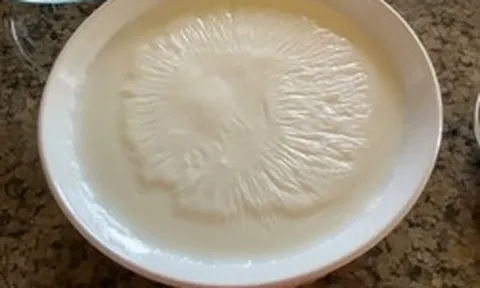Nữ bác sĩ Nhật giảm 15kg nhờ kiểu ăn sữa chua "lạ đời"
