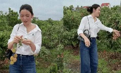 Chu Thanh Huyền gặp sự cố giữa vườn vải
