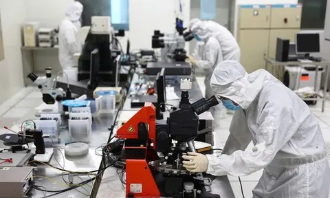 Đến năm 2030 hình thành khoảng 30 nhóm nghiên cứu mạnh về khoa học tự nhiên