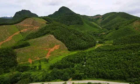 Dừng việc đưa 13 ha đất đầu nguồn nước vào đấu giá mỏ đất ở Thanh Hóa