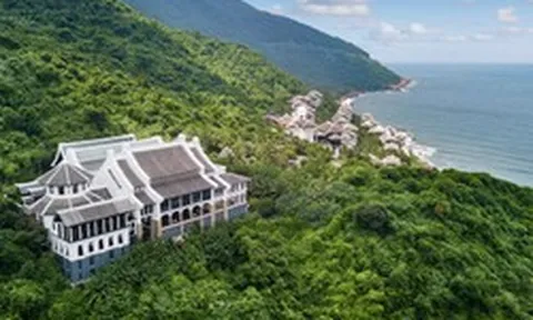 Đà Nẵng sắp có sự kiện nóng gì mà dàn sao Michelin và “phù thủy resort” cùng đổ về?