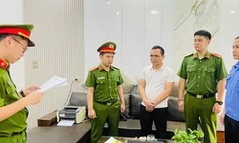 Một giám đốc công ty bị khởi  tố