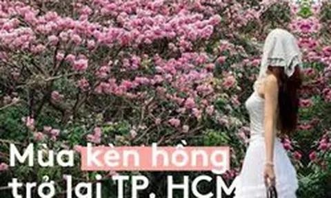 Sống ở TP.HCM hơn 10 năm mới thấy mùa kèn hồng "ngang ngược" thế này, bảo sao ai cũng rần rần xách máy lên phố!
