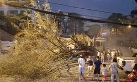 Hà Nội: Sau nắng nóng kỷ lục, mưa to gió lớn giật tung cây xanh, ôtô bị đè bẹp giữa phố