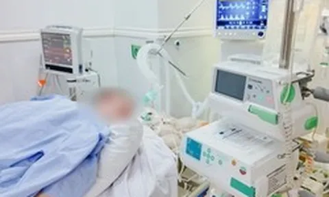 Du khách Đức nguy kịch vì sốc nhiễm khuẩn, suy tim, suy thận: Tình trạng sau 1 tháng điều trị tại Việt Nam gây bất ngờ