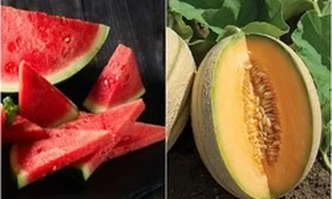 7 loại trái cây, rau củ bù nước, giải nhiệt cực tốt trong mùa hè