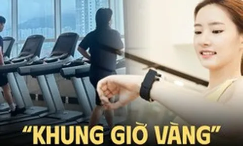 “Nghèo thời gian”, dân văn phòng biến 1 tiếng nghỉ trưa thành khung giờ vàng: Đi tập gym, đi học thêm thay vì ngủ gục trên bàn