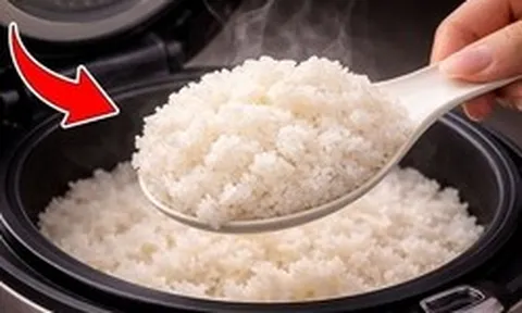 Nấu cơm đừng chỉ cho nước, nhớ thêm vài giọt này: Hạt cơm bóng dẻo, thơm ngon, để lâu không thiu